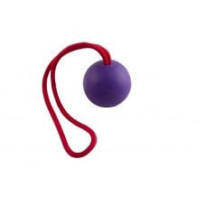 Rubber bal met touw