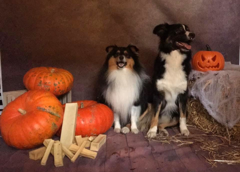 NiKaBone ®CheeseBone Kaaskluif