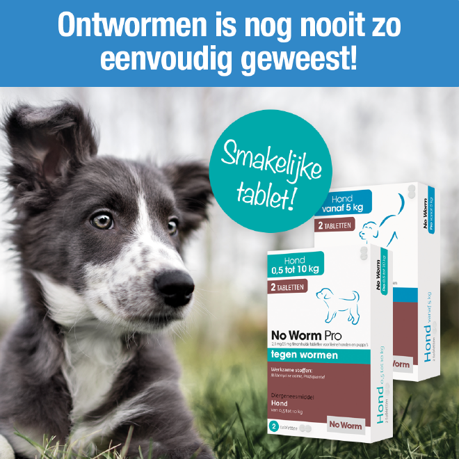 No Worm Pro 2 tablet Hond vanaf 5 kg
